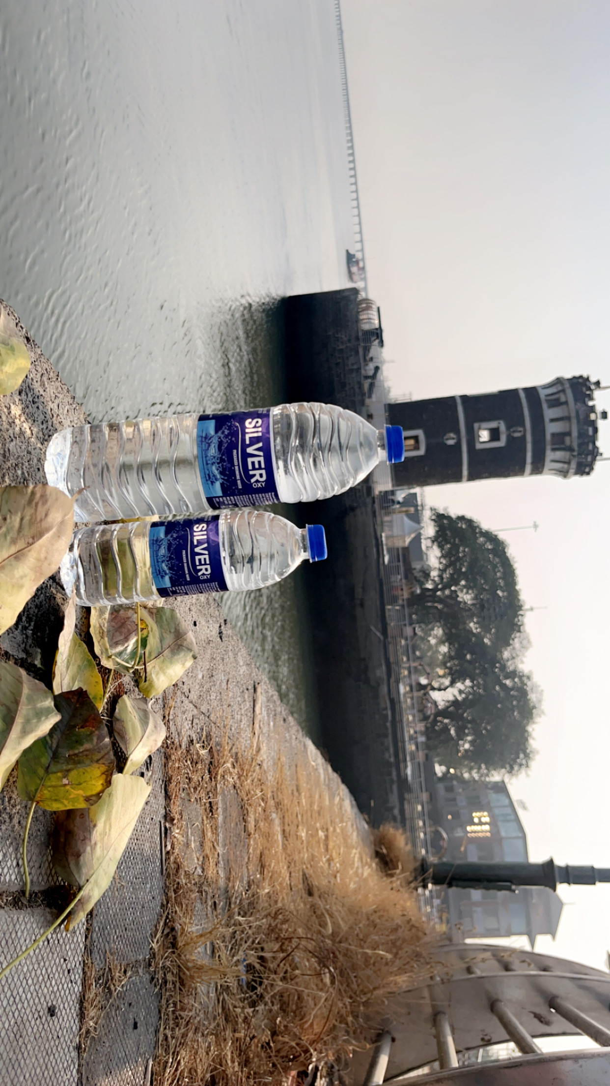 500ml Silver Oxy Bottle